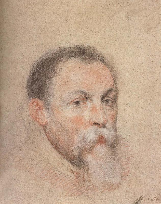 Peter Paul Rubens Portrait of Yien Germany oil painting art